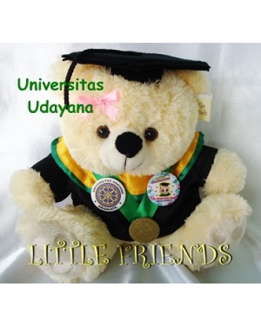 Boneka Wisuda Universitas Udayana - FK (30 cm)